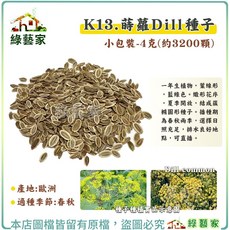 綠藝家 K13.蒔蘿Dill種子 4克 一年生植物 產地歐洲