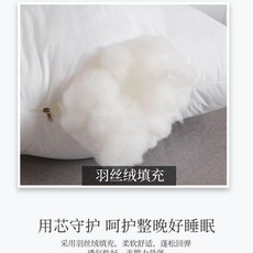 抱枕芯靠枕芯 磨毛布料羽絲絨, 1個, 磨毛布料羽絲絨買一送一,40*40CM適合35*35抱枕套