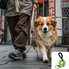 戶外遛狗牽引繩防爆衝P鏈 訓練調皮狗鏈可伸縮小中大型狗, 1個, 防勒傷 熒光綠2.0米長,粗0.8釐米 推薦8-15斤