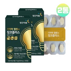 기억력.혈행엔 징코플러스30정x2개 은행잎추출물 나이아신 아연 판토텐산 비타민B군 혈행건강개선, 2개, 30정