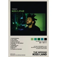 음악 앨범 스타 주말 힙합 포스터 인쇄 캔버스 회화 가수 벽 예술 그림 거실 홈 장식 선물, 30X42cm Unframed, 06 DM8-1