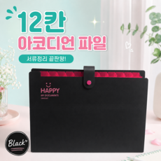 a4 파일 케이스 12칸 아코디언 파일, 1개, 블랙