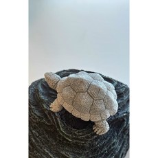 소원 행운 돌거북이 조각상 거북이모형 수공예 조경 풍수, 소원 돌거북이+공예 케이스