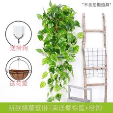 仿真綠蘿客廳掛墻綠植 壁掛植物裝飾 垂吊假花藤 條室內藤蔓吊蘭吊籃, 新款綠蘿吊蘭1束(送椰棕籃), 1個