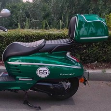 장고 탑박스 푸조 레트로 수납함 보관함 트렁크 150 리어백, E. 가문비 나무 그린