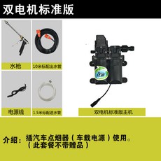 下殺價 洗車器 洗車機 億派全自動12v便攜家用高壓泵水槍 小型清洗機刷車泵, 標準版