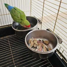 갓 걸이형 스텐 앵무새 모이통 대 밥그릇, WCFCA25_ONE_COLOR／FREE