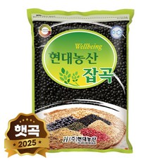 현대농산 국산 쥐눈이콩 약콩 2kg, 1개
