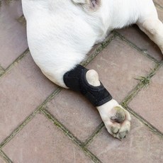 판매중지 사용안함, 2개, 다리 보호대, 다리 BL