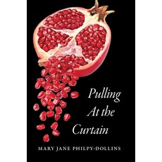 (영문도서) Pulling At the Curtain Paperback, Mary Jane Philpy-Dollins, English, 9798218469016