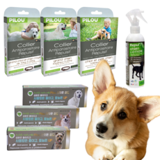 강아지진드기퇴치 사상충 예방 기생충 목걸이 젤 스프레이, 1개
