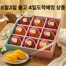 [망고성지] 항공직송 고당도 애플망고 선물세트 당도선별, 1박스, 항공직송 애플망고 9과 (4KG내외)