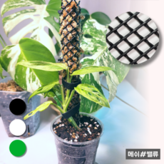 메쉬밸류 수태봉 수태벽 1M 6000원~, 17. 마름모망 / 17mm / 검정 / 1.2M, 1개