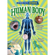 The Human Body Library Binding, Bearport Books, English, 9781647476748