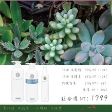 阿法綠色髮妝 沒油洗護組 阿順噴噴, 1個