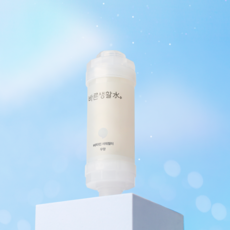 바른생활수 프리미엄 비타민 샤워필터 비타 무향, 1개