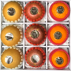 세트 과일 선물세트 혼합2호, 1박스