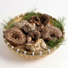 자연산 능이버섯 최상 A급 1KG 티베트(중국), 1개