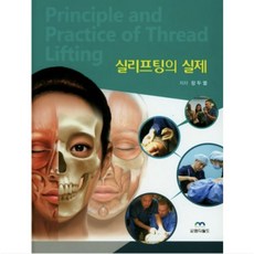 실리프팅의 실제