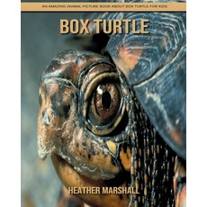 Box Turtle: An Amazing Animal Picture Book about Box Turtle for Kids Paperback, Independently Published