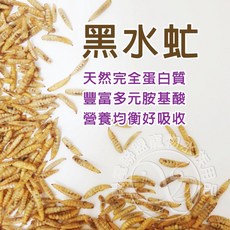 【閃電聯盟】黑水虻蟲乾 鳳凰蟲 倉鼠、刺蝟、蜜袋鼯、柯爾鴨、鸚鵡、鬆獅蜥、烏龜、血鸚鵡、龍魚 昆蟲乾 黑虻蟲 麵包蟲, 1個, 50g, 50g