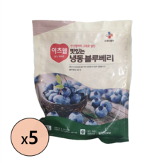 CJ프레시웨이 이츠웰 맛있는 냉동 블루베리, 1kg, 5개, 1kg