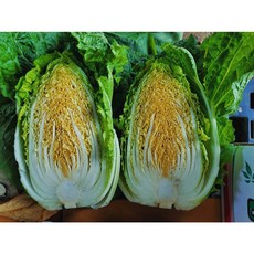 [운악의 뜰] 포천 햇배추, 10kg, 1박스