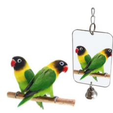 앵무새미러 거울 놀이 장난감 케이지 장식 애완동물, 앵무새미러 GD02390