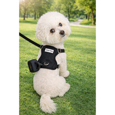 [파라쥬]강아지 하네스 리드줄 세트 배변케이스 포함 소형견 산책 준비 올인원 앞섬방지, 1개, 하네스블랙