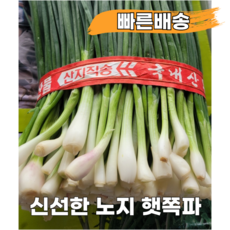[오늘수확 당일발송] 흙없는 깐쪽파파김치 쪽파전 깨끗한 손질, 1kg, 1개