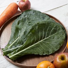 [산지직송] 친환경 유기농 케일 당일수확발송, 1개, 2kg