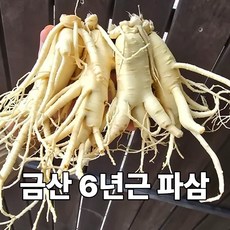 금산인삼 6년근 세척 파삼 1채, 7개, 710g