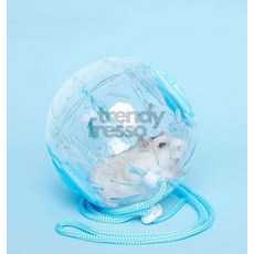 앤서룸 헬스볼 장난감 끈 운동볼끈, 핑크, 1개, 핑크