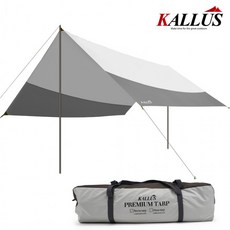 칼루스 타프, 칼루스 랙타타프, 칼루스 렉타타프 500*440