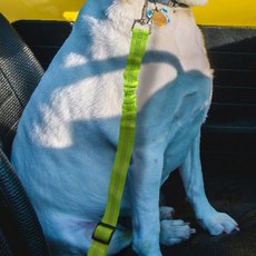 차량 탑승 반려견 안전 고정 벨트 조절 가능 목줄 연결 자동차 이동 시트벨트, 1개, 상세페이지 참조