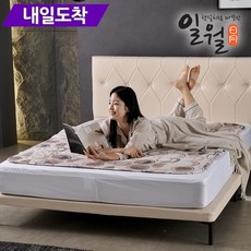 일월 시그니처 초절전형 워셔블 카본 탄소 전기매트, 혼합색상, 더블(1400 x 1800 mm)