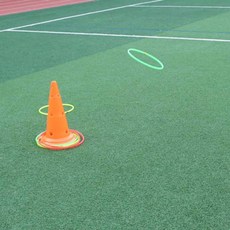 셀링프리 링 던지기 큰링던지기, 블루1개