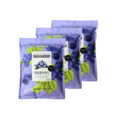 웰루츠냉동 블루베리, 3개, 1kg