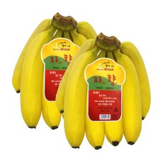 더노랑 커트 바나나, 1박스, 2송이 2.6kg