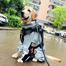 狗狗四腳防水雨衣 中大型犬戶外衝鋒衣 個性服飾, 1個