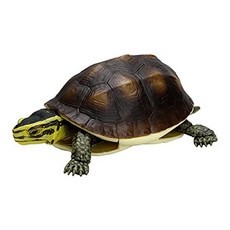 카메 04 이키 모노 큰 도감