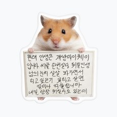 (아크릴) 햄찌 재밌는 인용구 웃긴 병맛 문구 햄스터 아크릴 맥세이프 스마트톡, 1개, 타입 10 - 원래인생은개쌍마이웨이, [아크릴톡]_햄찌재밌는인용구