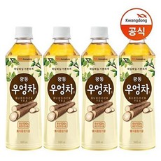광동 광동 우엉차 500ml x 24pet, 24개
