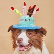 편한집 반려동물 생일 파티 촛불 모자 애견생일파티모자 강아지생일파티 강아지생일파티용품, 1개, 블루