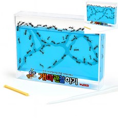 [오품] 개미 관찰하기 대 블루