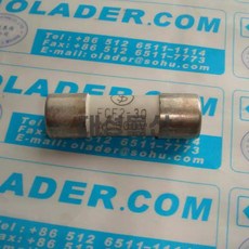 일본의 Fuji ELECTRIC FCF2-30 30A 퓨즈 퓨즈, 01 옵션1