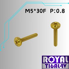 ROYAL 鈦合金螺絲 M5*30F 飛碟頭螺絲 土豪金, 1個