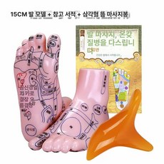 한의원 발 15cm 리플렉솔로지 모형 혈자리 실습 경혈위치 20cm 제품 마네킹 훈련, 8.15CM 발 모형+참고서+핀치 스틱