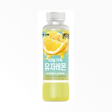 유어스 빙그레 하늘가득 유자레몬 주스 음료 페트 330ml x 12개