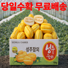 당일수확 고당도 성주 꿀 참외 못난이 가정용 실중량 4.5kg, 1개, 못난이 랜덤과 4.5kg(5-45과)